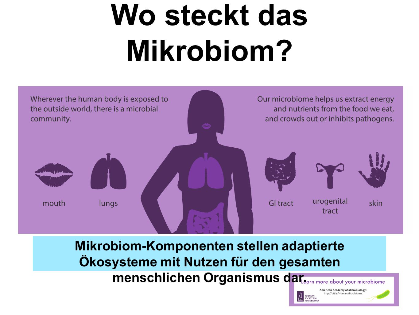 Online der Test im Vorhandensein der Parasiten im Organismus